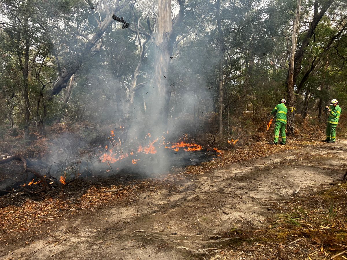 Two firefighters igniting a burn