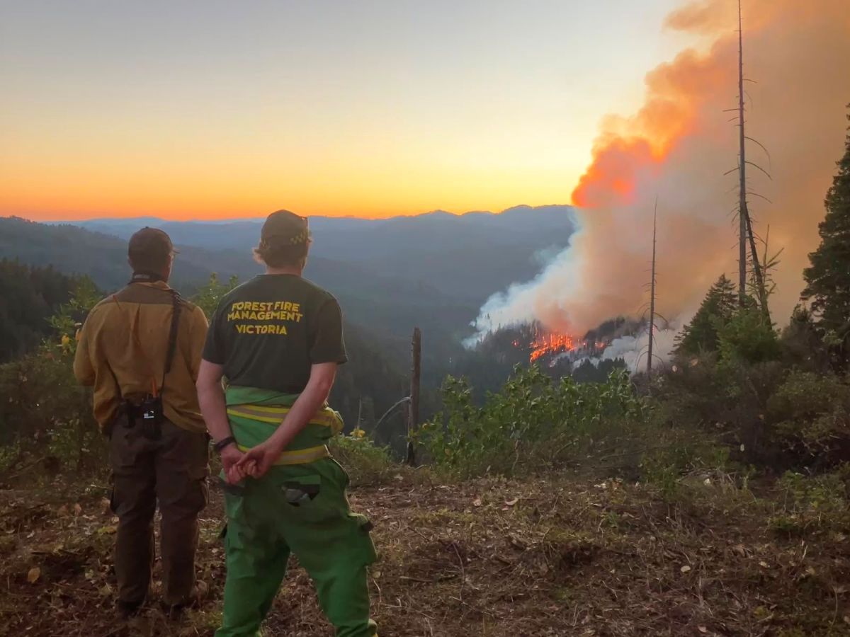 FFMVic and US firefighters looking at the fires from a hill
