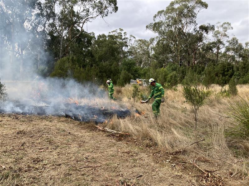 Photo of traditional methods being used to light a burn 