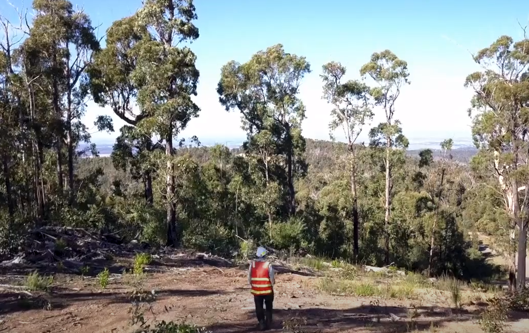 Gippsland strategic fuel break