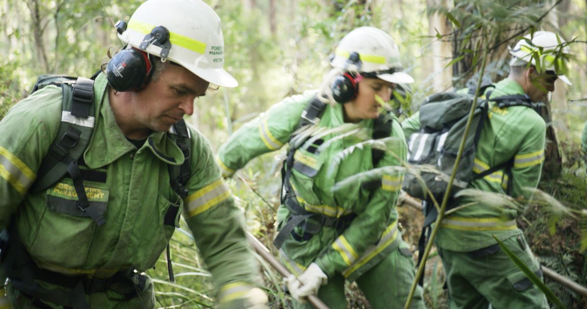 Three project firfighters working in the bush